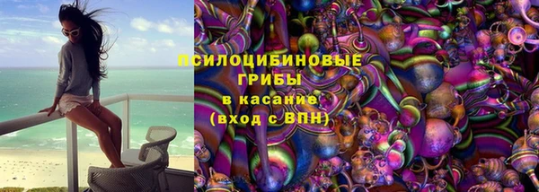 гидра Яровое