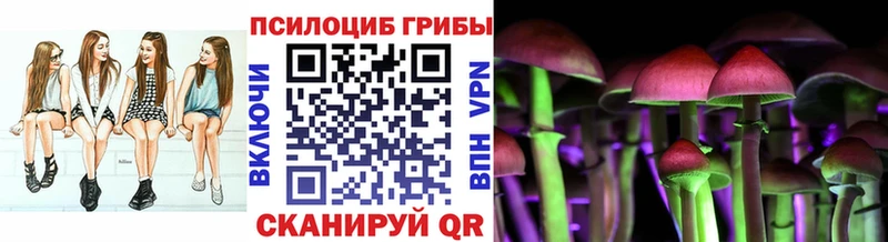 мориарти формула Бабаево Псилоцибиновые грибы Psilocybe